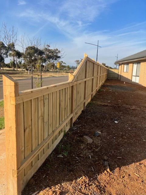 sunbury timber fence